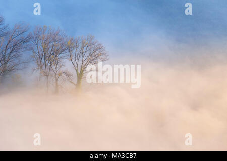 Nebel über den Fluss Adda von Airuno am Santuario Madonna della Rocchetta, Airuno, Parco dell'Adda Nord, Lecco Provinz Brianza, Lombardei, Italien gesehen. Stockfoto