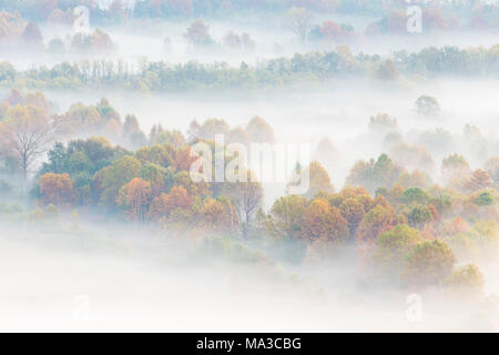 Nebel über den Fluss Adda von Airuno am Santuario Madonna della Rocchetta, Airuno, Parco dell'Adda Nord, Lecco Provinz Brianza, Lombardei, Italien gesehen. Stockfoto