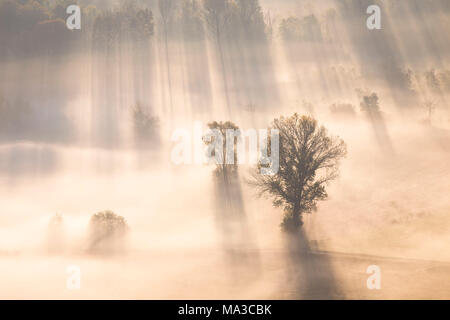 Nebel über den Fluss Adda von Airuno am Santuario Madonna della Rocchetta, Airuno, Parco dell'Adda Nord, Lecco Provinz Brianza, Lombardei, Italien gesehen. Stockfoto