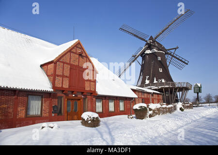 Mühle in Lemkenhafen, Insel Fehmarn, Schleswig-Holstein, Norddeutschland, Deutschland, Stockfoto