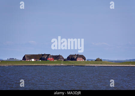 Blick auf die Hallig Gröde von Langeneß, Nordseeküste, Nationalpark Schleswig-Holsteinisches Wattenmeer, Nordfriesland, die Nordfriesen, Schleswig-Holstein, Deutschland, Stockfoto