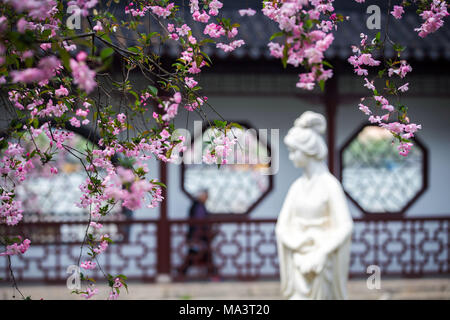 Nanjin, Nanjin, China. 30 Mär, 2018. Nanjing, China, 28. März 2018: Chinesische Blüte crab - Äpfel an Mochou Lake Park in Nanjing in der ostchinesischen Provinz Jiangsu. Credit: SIPA Asien/ZUMA Draht/Alamy leben Nachrichten Stockfoto