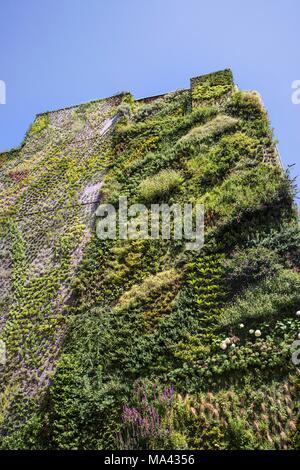 Vertikale Garten an der Fassade der Caixa Forum in Madrid, Spanien Stockfoto