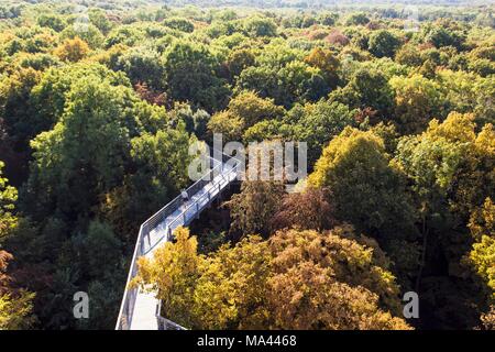 Die baumklettern in den Nationalpark Hainich, Thüringer Wald, Thüringen, Deutschland Stockfoto