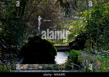 Moos bedeckt Brunnen in einem natürlichen Park und einen Bach im Hintergrund Stockfoto