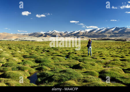 Reisender auf dem Tso Kar See im indischen Himalaya, Karakorum Berge reichen über die Grenzen von Pakistan, Indien. Stockfoto