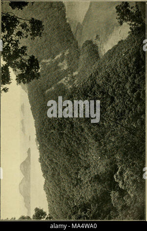 . Die Wwu: offizielles Organ des Australasian Ornithologists' Union Stockfoto