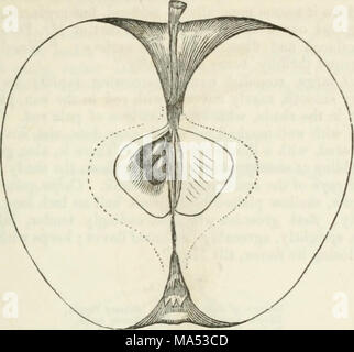 . Elliott's Obst Buch; oder die amerikanische Frucht des Erzeugers Guide im Obstgarten und Garten. Ein compend der Geschichte, Formen der Vermehrung, Kultur, etc., von Obstbäumen und Sträuchern, mit Beschreibungen von fast alle Sorten von Obst in diesem Land kultiviert; stellt ihrer Anpassung an Gemeinden und Böden, und auch eine vollständige Liste der Früchte der Anbau Stockfoto