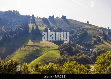 Deutschland, Baden-Württemberg, Schwarzwald, Muenstertal, Landschaft, Schwarzwaldhof, Schwarzwald Haus, Bauernhof, Bauernhaus, Hof Stockfoto