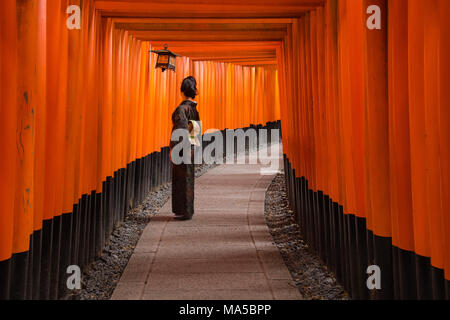 Asien, Japan, Nihon, Nippon, Kyoto, senbon Torii Fushimi Inari Taisha Shrine Stockfoto