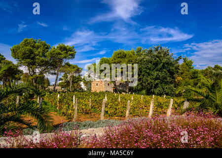 Kroatien, Dalmatien, Sibenik, Solaris Beach Resort, dalmatinische Ethno Dorf Stockfoto
