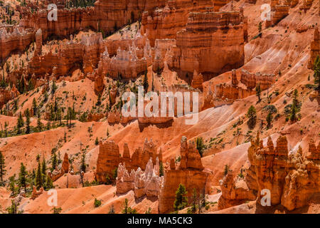 USA, Utah, Garfield County, Bryce Canyon Nationalpark, Sunrise Point, Amphitheate Stockfoto