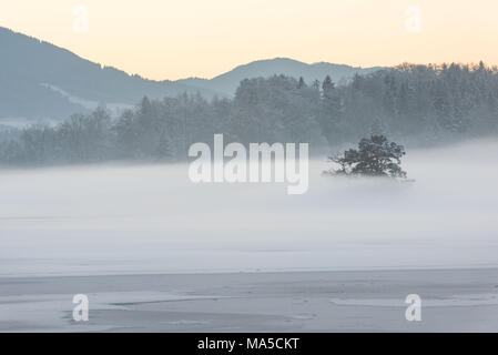 Jakobsinsel im gefrorenen Staffelsee im Nebel Stockfoto