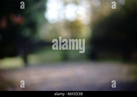 Die abstrakte und verschwommene Silhouetten von einem Park Landschaft im Herbst, Stockfoto