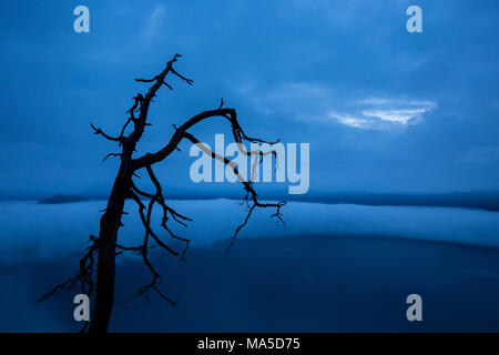 Blick von der Residenz am See Walchen (Walchensee) mit Herbst Nebel, der Bayerischen Voralpen, Bayern, Deutschland Stockfoto