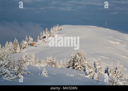 Morgenstimmung am Hirschberg (Berg) im Winter, Bayerische Alpen, Bayern, Deutschland. Stockfoto