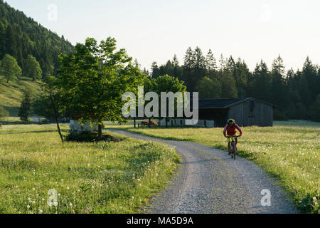 Mountainbike Szene in das Längental, in der Nähe Leggries (Gemeinde), Bayerischen Alpen, Bayern, Deutschland Stockfoto