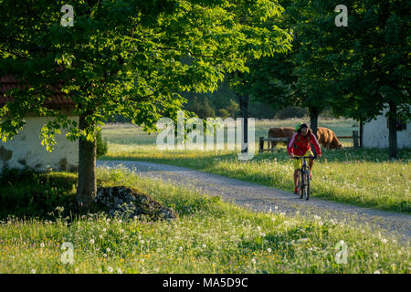 Mountainbike Szene in das Längental, in der Nähe Leggries (Gemeinde), Bayerischen Alpen, Bayern, Deutschland Stockfoto