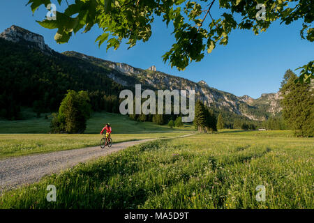 Mountainbike Szene in das Längental, in der Nähe Leggries (Gemeinde), Bayerischen Alpen, Bayern, Deutschland Stockfoto