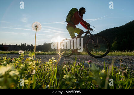 Mountainbike Szene in das Längental, in der Nähe Leggries (Gemeinde), Bayerischen Alpen, Bayern, Deutschland Stockfoto