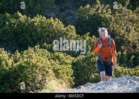 Wandern Szene am Herzogstand, Berge von Walchensee, Bayerischen Voralpen, Bayern, Deutschland Stockfoto