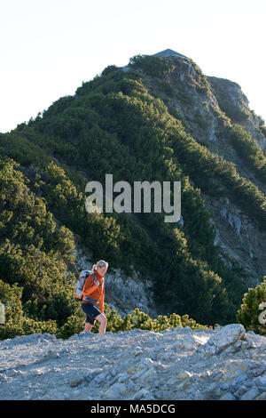 Wandern Szene am Herzogstand, Berge von Walchensee, Bayerischen Voralpen, Bayern, Deutschland Stockfoto