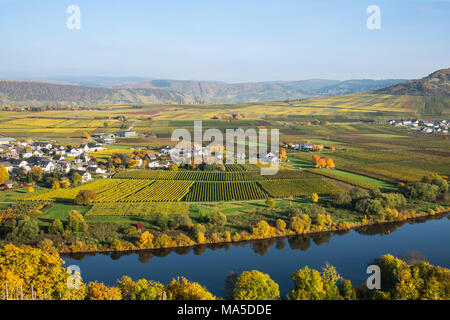 Landschaft Foto von der Mosel in der Nähe Thörnich bei schönem Wetter im Herbst Stockfoto