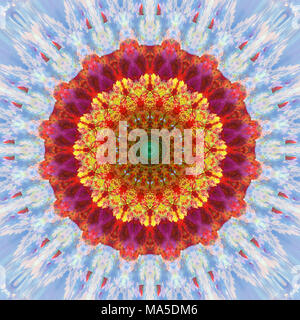 Fotografische blumen Mandala Stockfoto