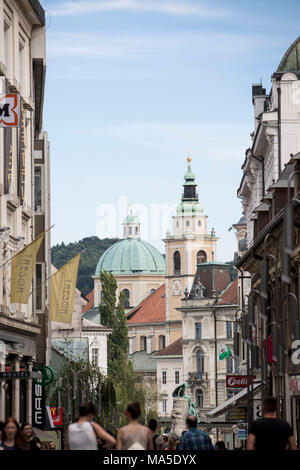 Dom St. Nikolaus in Ljubljana, Slowenien Stockfoto