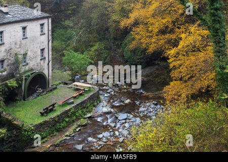 Herbst in Bruzella Mühle, Muggiotal, Mendrisio Bezirk, Kanton Tessin, Schweiz. Stockfoto
