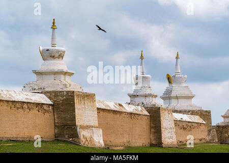 Mongolische Adler oben Erdene Zuu Kloster fliegen. Hangay Harhorin, im Süden der Provinz der Mongolei. Stockfoto