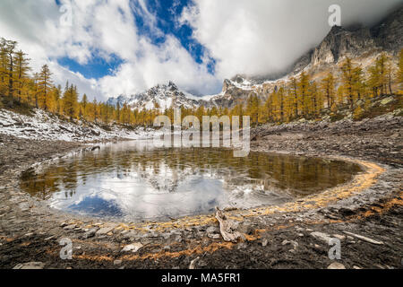 Die Nero See im Herbst (Buscagna Tal, Alpe Devero, Alpe Veglia und Alpe Devero Naturpark, Baceno, Provinz Verbano Cusio Ossola, Piemont, Italien, Europa) Stockfoto