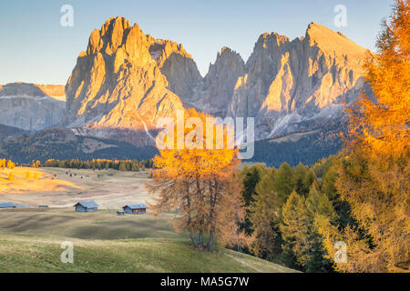 Seiser Alm mit dem Langkofel und Plattkofel auf Yhe Hintergrund, Südtirol, Italien Stockfoto