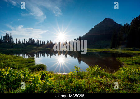 Tipsoo See, Chinook, Mount Rainier National Park, Seattle, Washington, USA Stockfoto