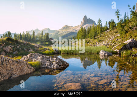 Natürliche Umgebung in der Nähe des Federa See im Sommer, Cortina d Ampezzo, Belluno, Dolomiten, Venetien, Italien Stockfoto