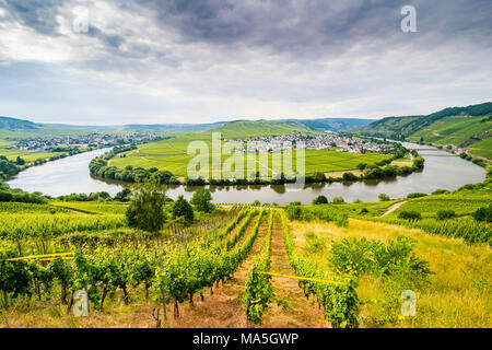 Die Riverbend in Trittenheim, Mosel, Rheinland-Pfalz, Deutschland Stockfoto