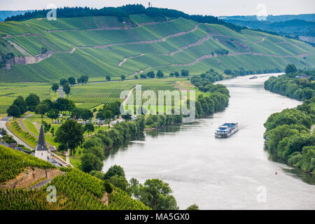 Cruiseship vorbei an einem Weinberg in der Nähe von Mosel, Rheinland-Pfalz, Deutschland Stockfoto