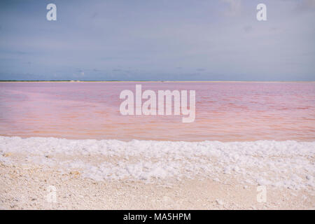 Pink salt lake und weißer Schaum auf Bonaire Insel Stockfoto