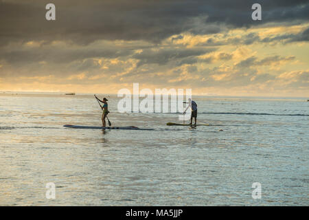 Stand up Paddler, bei Sonnenuntergang mit Moorea, die im Hintergrund arbeiten, Papeete, Tahiti, Französisch-Polynesien Stockfoto