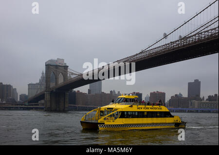 New York Water Taxi auf dem East River in der Nähe der Brooklyn Bridge Stockfoto