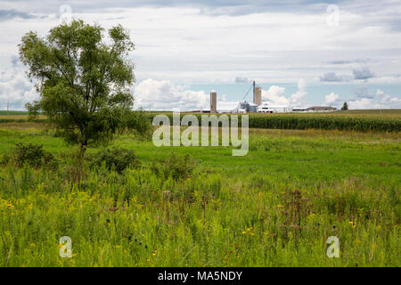 Conservation Reserve Erhaltung einheimischer Arten: wilde Gräser, Blumen im Vordergrund, Feuchtgebiete in Mitte, Bauernhof im Hintergrund. Manchester, Iowa. Stockfoto