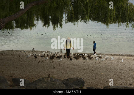 Tauchen, Lake Wanaka, Neuseeland Stockfoto