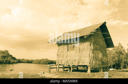 Reetdachhaus am Strand in der Nähe von Mangrovenwäldern in gelb Ton Stockfoto