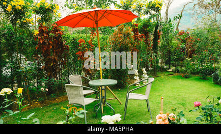 Garten und Blumen Garten mit Rosen im Garten im Hinterhof Stockfoto