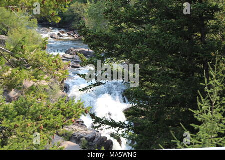 Plätschernder Bach in der Wildnis von Wyoming abseits der ausgetretenen Pfade. Stockfoto