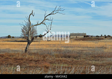 Sand Prairie. Sand Prairie Lebensraum Der Driftless Bereich. Stockfoto