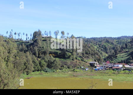 Am Morgen herrscht im Bromo Tengger Semeru National Park Lumajang, Ost-Java, Indonesien eine Atmosphäre von Ranu Pani und Ranu Gummolo Stockfoto