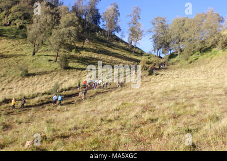 Am Morgen herrscht im Bromo Tengger Semeru National Park Lumajang, Ost-Java, Indonesien eine Atmosphäre von Ranu Pani und Ranu Gummolo Stockfoto