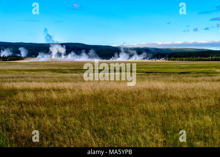 Weites Feld der Gras mit Geysiren und Hügel in der Ferne unter strahlend blauen Himmel. Stockfoto