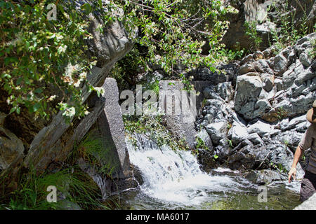 Untere Deer Creek Falls Fisch Passage Projekt. Stockfoto